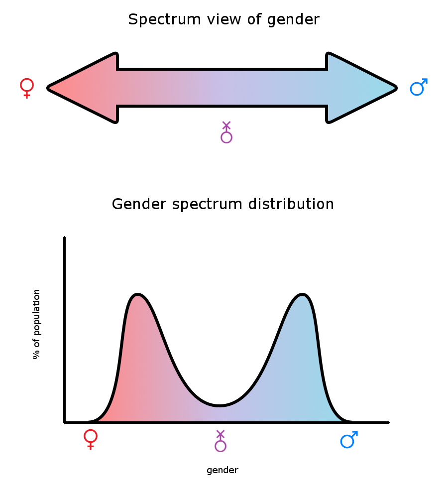 Textbook view of gender