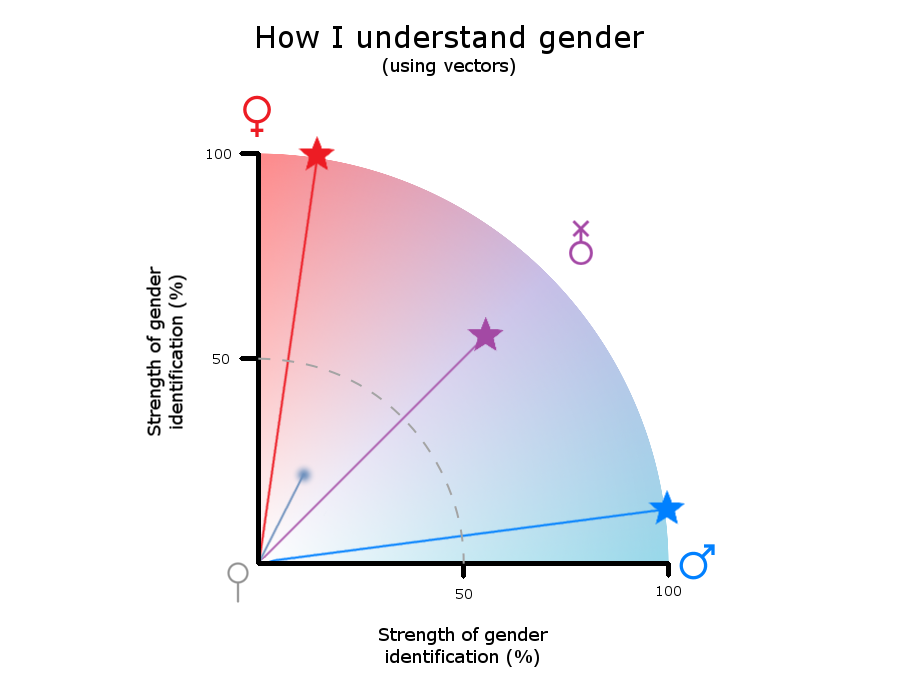 Measuring gender using vectors